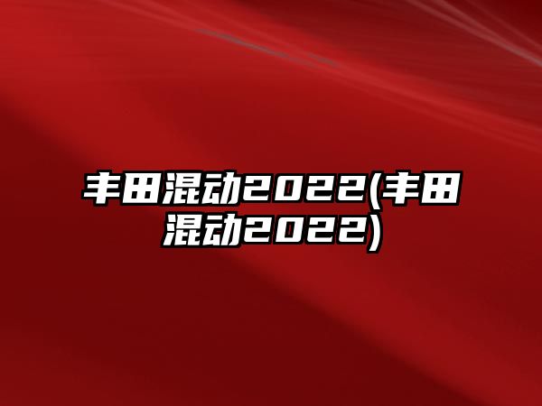 豐田混動2022(豐田混動2022)