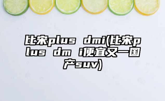 比宋plus dmi(比宋plus dm i便宜又一國產(chǎn)suv)