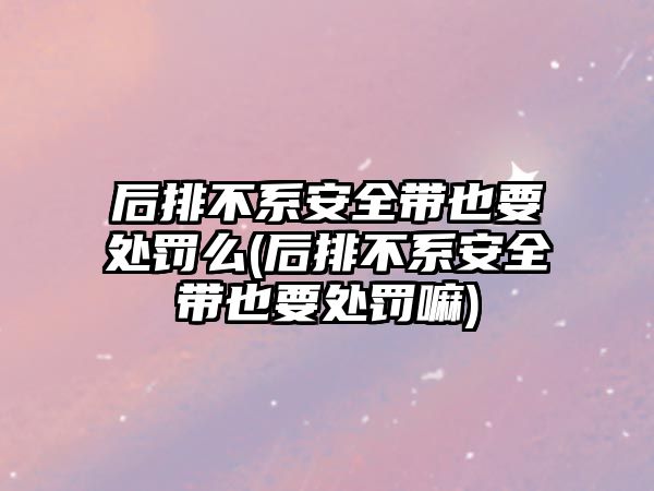 后排不系安全帶也要處罰么(后排不系安全帶也要處罰嘛)