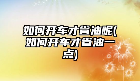 如何開車才省油呢(如何開車才省油一點(diǎn))