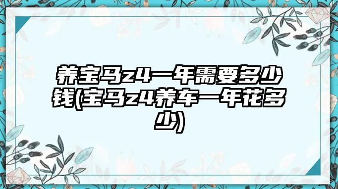 養(yǎng)寶馬z4一年需要多少錢(寶馬z4養(yǎng)車一年花多少)