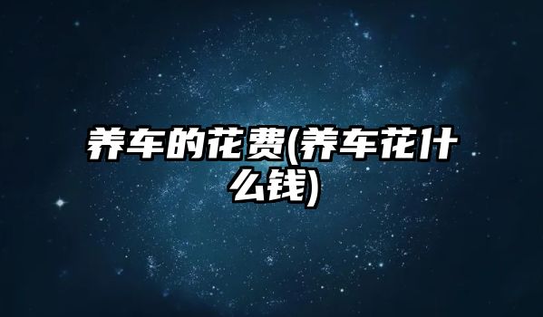 養(yǎng)車的花費(fèi)(養(yǎng)車花什么錢)