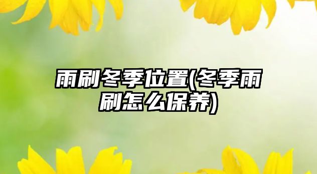 雨刷冬季位置(冬季雨刷怎么保養(yǎng))