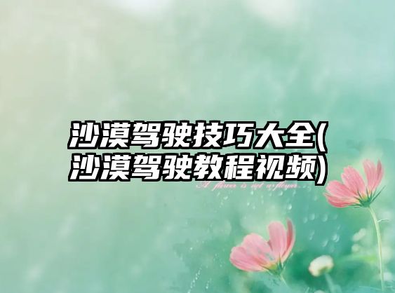 沙漠駕駛技巧大全(沙漠駕駛教程視頻)