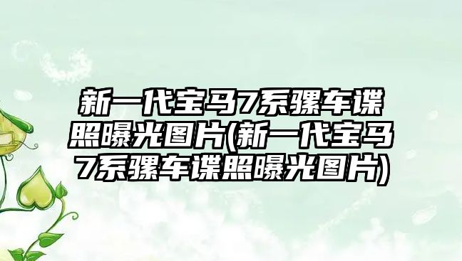 新一代寶馬7系騾車諜照曝光圖片(新一代寶馬7系騾車諜照曝光圖片)