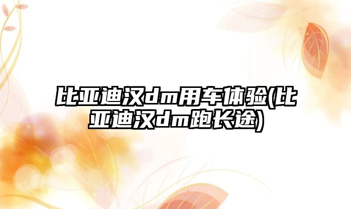 比亞迪漢dm用車體驗(yàn)(比亞迪漢dm跑長(zhǎng)途)