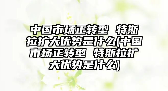 中國市場正轉型 特斯拉擴大優(yōu)勢是什么(中國市場正轉型 特斯拉擴大優(yōu)勢是什么)