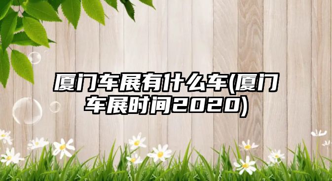 廈門車展有什么車(廈門車展時(shí)間2020)