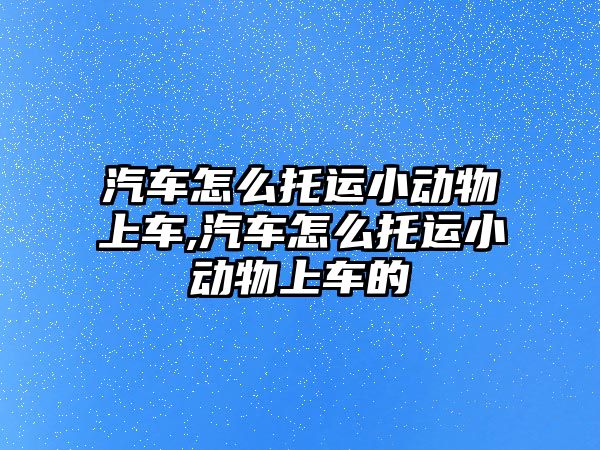 汽車怎么托運小動物上車,汽車怎么托運小動物上車的