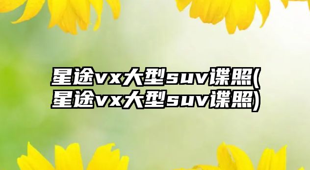 星途vx大型suv諜照(星途vx大型suv諜照)