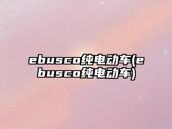 ebusco純電動車(ebusco純電動車)