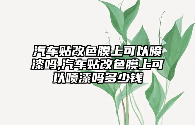 汽車貼改色膜上可以噴漆嗎,汽車貼改色膜上可以噴漆嗎多少錢