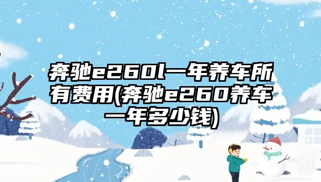 奔馳e260l一年養(yǎng)車所有費(fèi)用(奔馳e260養(yǎng)車一年多少錢)