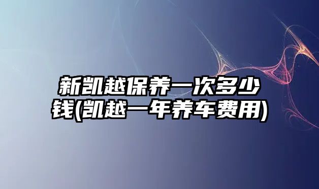 新凱越保養(yǎng)一次多少錢(凱越一年養(yǎng)車費用)