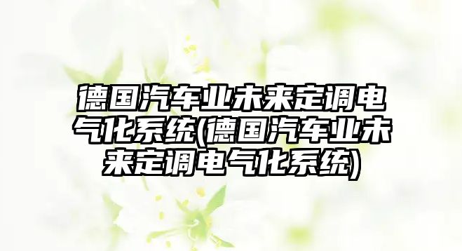 德國汽車業(yè)未來定調(diào)電氣化系統(tǒng)(德國汽車業(yè)未來定調(diào)電氣化系統(tǒng))