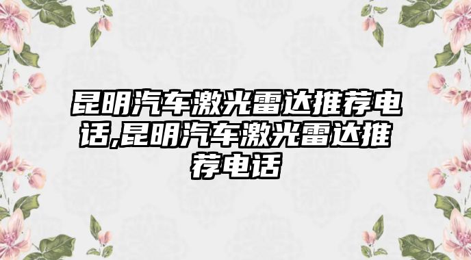 昆明汽車激光雷達推薦電話,昆明汽車激光雷達推薦電話