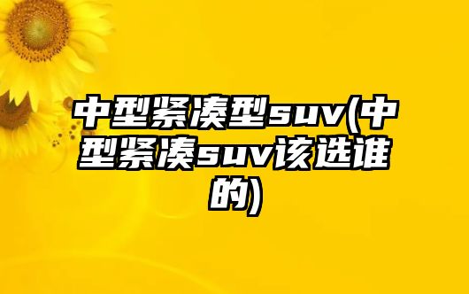 中型緊湊型suv(中型緊湊suv該選誰的)