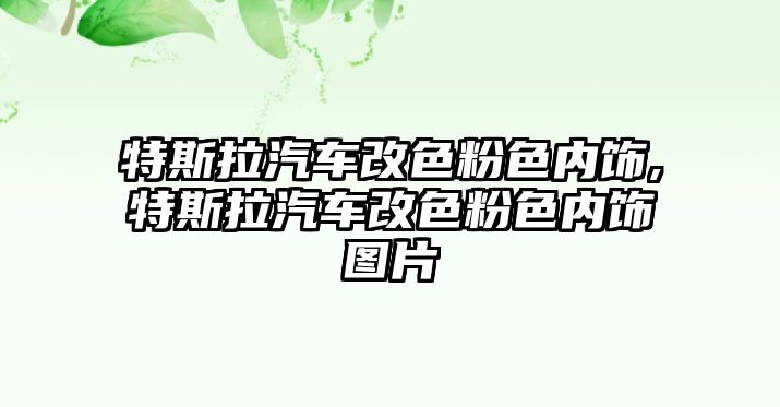 特斯拉汽車改色粉色內(nèi)飾,特斯拉汽車改色粉色內(nèi)飾圖片