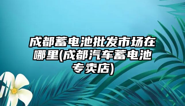 成都蓄電池批發(fā)市場(chǎng)在哪里(成都汽車蓄電池專賣店)