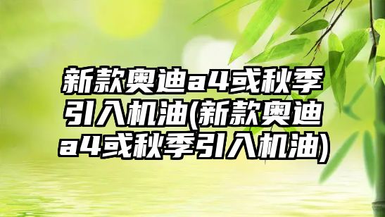 新款?yuàn)W迪a4或秋季引入機(jī)油(新款?yuàn)W迪a4或秋季引入機(jī)油)