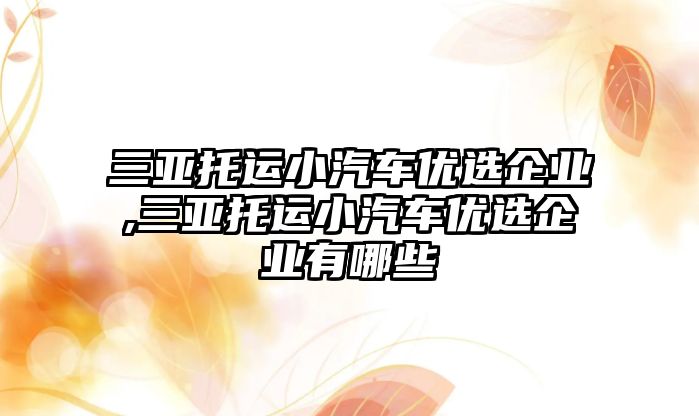 三亞托運小汽車優(yōu)選企業(yè),三亞托運小汽車優(yōu)選企業(yè)有哪些