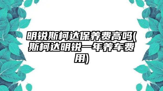 明銳斯柯達(dá)保養(yǎng)費(fèi)高嗎(斯柯達(dá)明銳一年養(yǎng)車費(fèi)用)