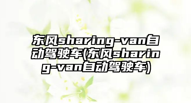 東風(fēng)sharing-van自動駕駛車(東風(fēng)sharing-van自動駕駛車)