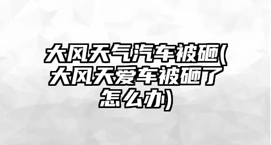 大風(fēng)天氣汽車被砸(大風(fēng)天愛車被砸了怎么辦)