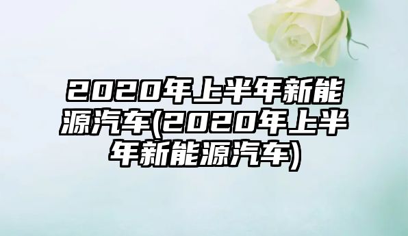 2020年上半年新能源汽車(chē)(2020年上半年新能源汽車(chē))