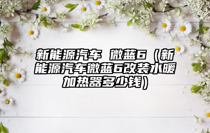 新能源汽車 微藍6（新能源汽車微藍6改裝水暖加熱器多少錢）