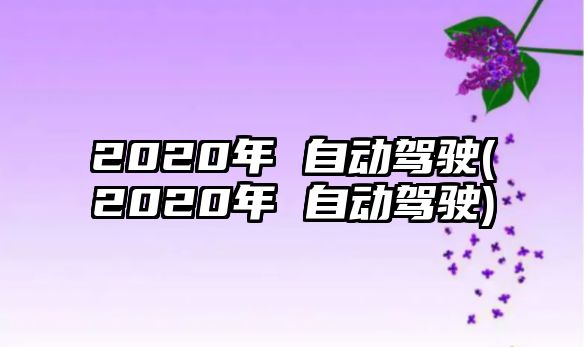 2020年 自動(dòng)駕駛(2020年 自動(dòng)駕駛)