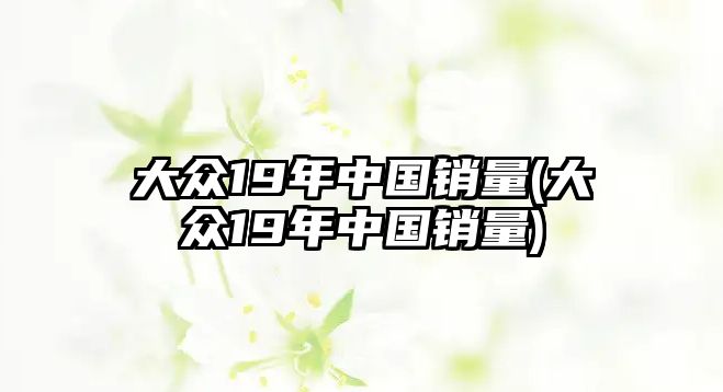 大眾19年中國銷量(大眾19年中國銷量)