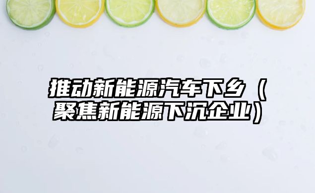 推動新能源汽車下鄉(xiāng)（聚焦新能源下沉企業(yè)）