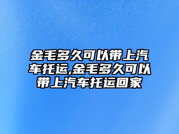 金毛多久可以帶上汽車(chē)托運(yùn),金毛多久可以帶上汽車(chē)托運(yùn)回家