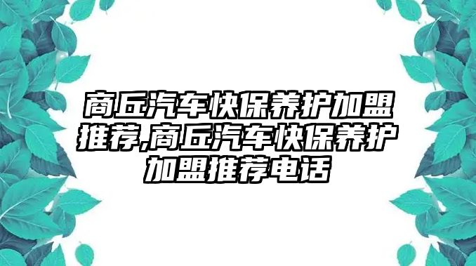 商丘汽車快保養(yǎng)護(hù)加盟推薦,商丘汽車快保養(yǎng)護(hù)加盟推薦電話