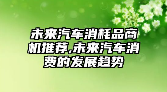 未來(lái)汽車消耗品商機(jī)推薦,未來(lái)汽車消費(fèi)的發(fā)展趨勢(shì)