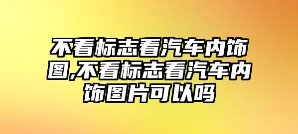 不看標志看汽車內(nèi)飾圖,不看標志看汽車內(nèi)飾圖片可以嗎