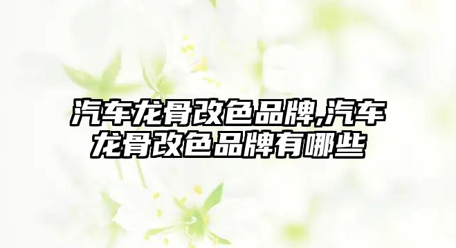 汽車龍骨改色品牌,汽車龍骨改色品牌有哪些