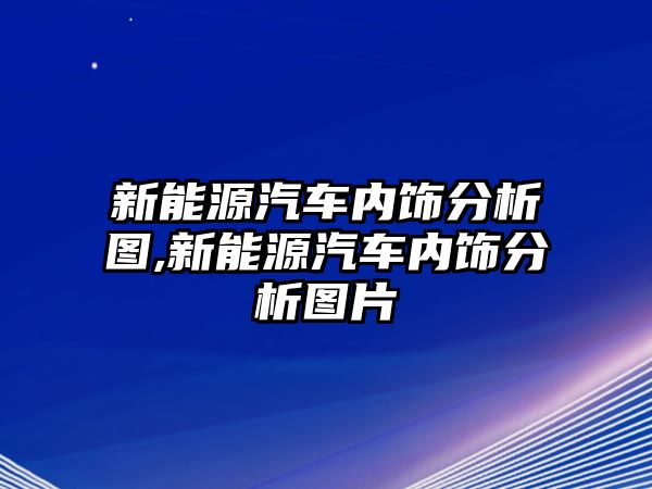 新能源汽車內(nèi)飾分析圖,新能源汽車內(nèi)飾分析圖片