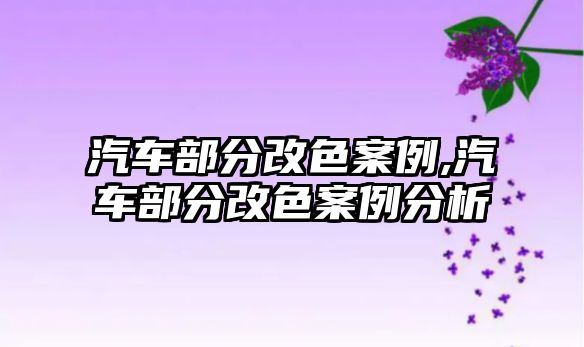 汽車部分改色案例,汽車部分改色案例分析