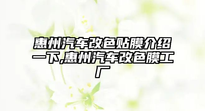 惠州汽車改色貼膜介紹一下,惠州汽車改色膜工廠