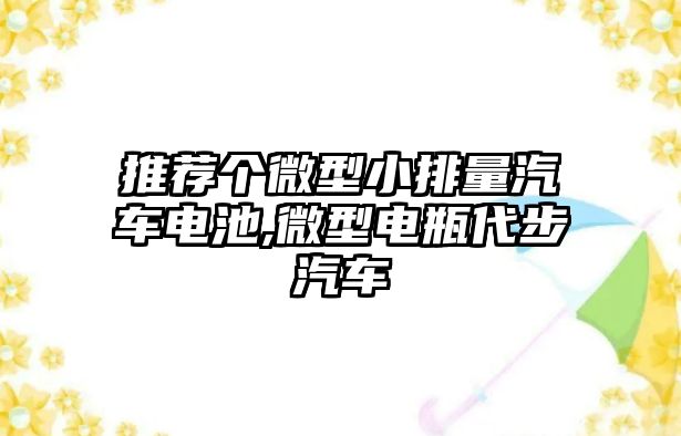 推薦個(gè)微型小排量汽車電池,微型電瓶代步汽車