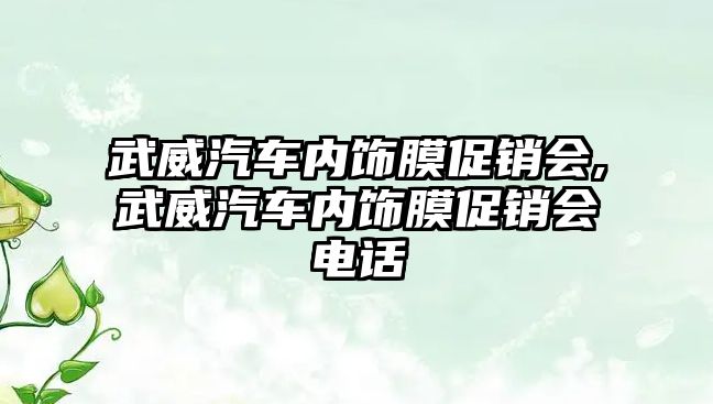 武威汽車內(nèi)飾膜促銷會,武威汽車內(nèi)飾膜促銷會電話