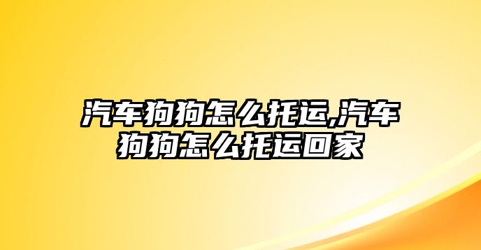 汽車狗狗怎么托運,汽車狗狗怎么托運回家