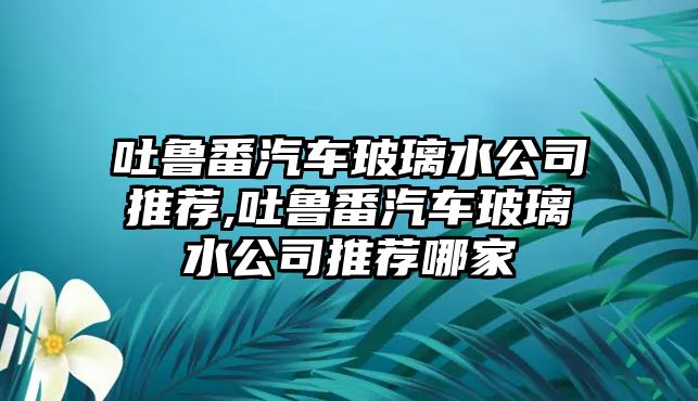 吐魯番汽車玻璃水公司推薦,吐魯番汽車玻璃水公司推薦哪家