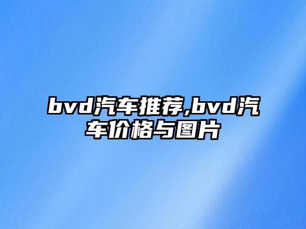 bvd汽車推薦,bvd汽車價(jià)格與圖片