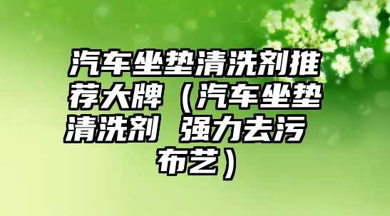 汽車坐墊清洗劑推薦大牌（汽車坐墊清洗劑 強(qiáng)力去污 布藝）